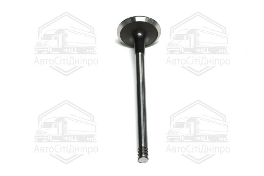 Клапан випускний RENAULT 1,5 dCi K9K 29x6x100.50 (вир-во GUNES)