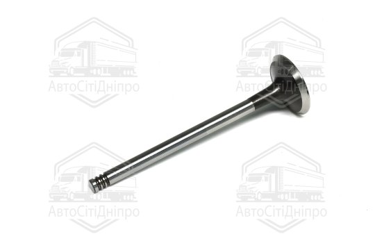 Клапан випускний RENAULT 1,5 dCi K9K 29x6x100.50 (вир-во GUNES)
