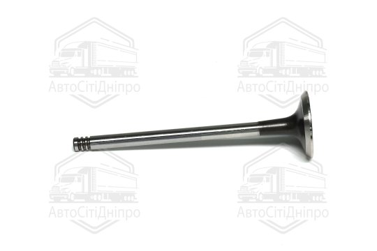 Клапан випускний RENAULT 1,5 dCi K9K 29x6x100.50 (вир-во GUNES)