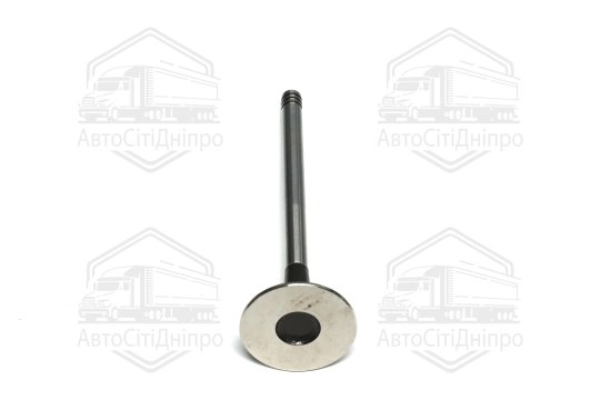 Клапан випускний RENAULT 1,5 dCi K9K 29x6x100.50 (вир-во GUNES)