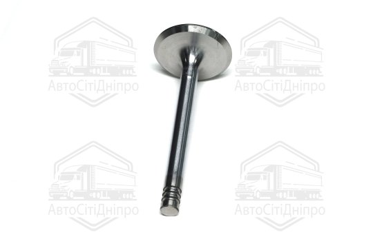 Клапан впускний VAG 1.6/1.8 AAM/RF 38x8x91.9 (вир-во GUNES)
