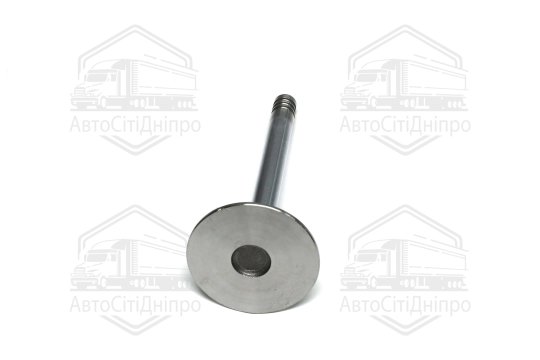 Клапан впускний VAG 1.6/1.8 AAM/RF 38x8x91.9 (вир-во GUNES)