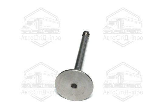 Клапан впускний VW LT/T4 2,5 TDI 36x8x96.8 (вир-во GUNES)