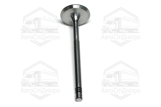 Клапан впускний VAG 1,4 AUA 29.5x6x100.9 (вир-во GUNES)