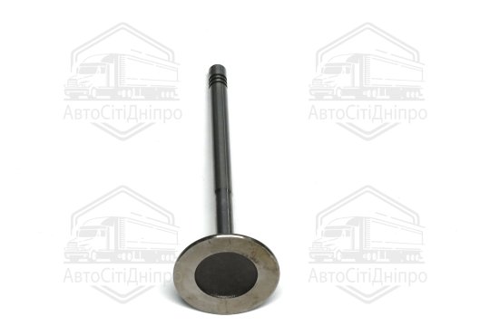 Клапан впускний VAG 1,4 AUA 29.5x6x100.9 (вир-во GUNES)