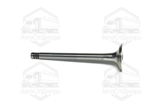 Клапан випускний VAG 2.0 TDI 16V 25.5x6x87.5 (вир-во GUNES)