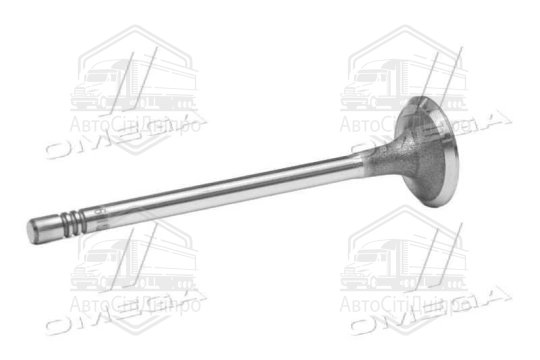 Клапан впускний FORD 1.4 TDCI Duratorq 16V  25.6x5.5x96.4 (вир-во GUNES)