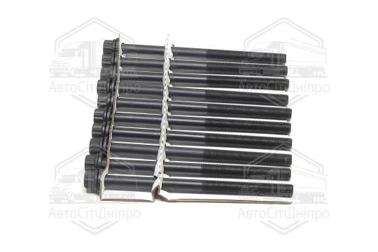 Болт головки циліндрів (компл.) 10 шт. Chevrolet CRUZE 09-, Hyundai TUCSON -19, Kia (вир-во Jakopart