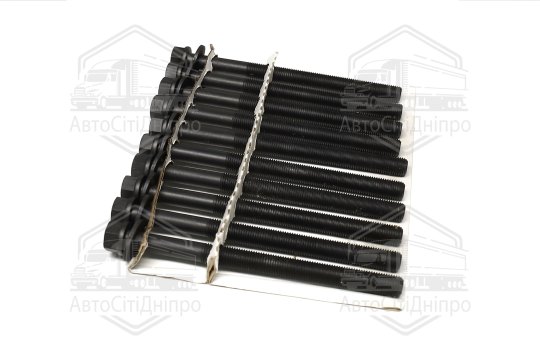 Болт головки циліндрів (компл.) 10 шт. Chevrolet CAPTIVA 06-, Opel ANTARA A -17 (вир-во Jakoparts)