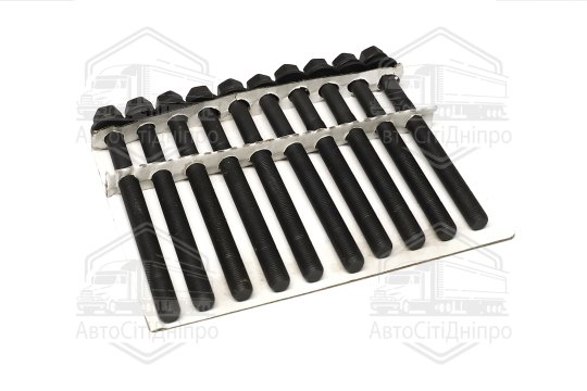 Болт головки циліндрів (компл.) 10 шт. Chevrolet CAPTIVA 06-, Opel ANTARA A -17 (вир-во Jakoparts)