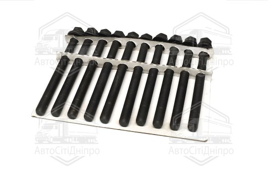 Болт головки циліндрів (компл.) 10 шт. Chevrolet CAPTIVA 06-, Opel ANTARA A -17 (вир-во Jakoparts)