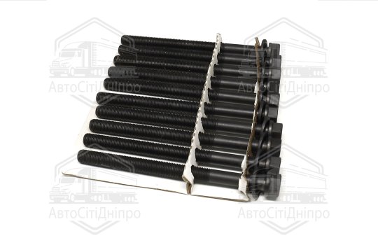 Болт головки циліндрів (компл.) 10 шт. Chevrolet CAPTIVA 06-, Opel ANTARA A -17 (вир-во Jakoparts)