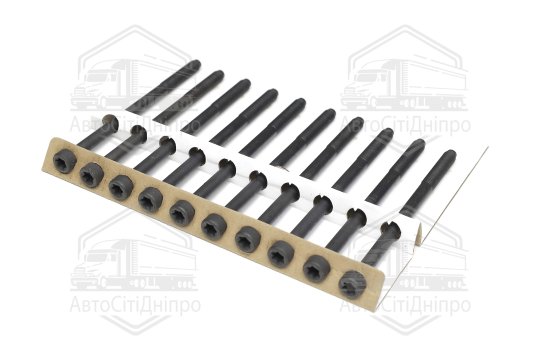 Болт головки циліндрів (компл.) 10 шт. MITSUBISHI LANCER VIII 07-, Peugeot 4008 12- (вир-во Jakopart