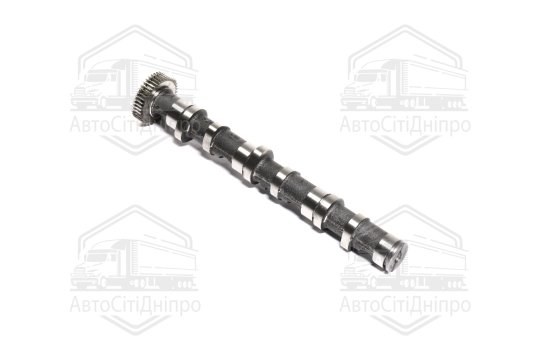 Розподільний вал VAG 2,5TDI BAU/BCZ/BDG/BND/BDH 1-3 EX (вир-во KS)