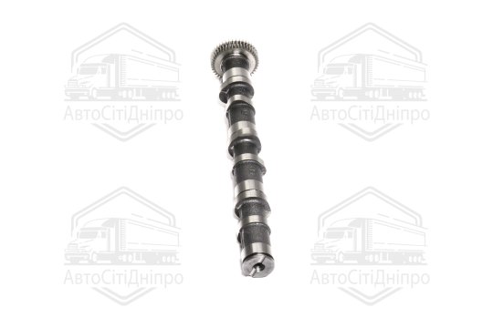 Розподільний вал VAG 2,5TDI BAU/BCZ/BDG/BND/BDH 1-3 EX (вир-во KS)