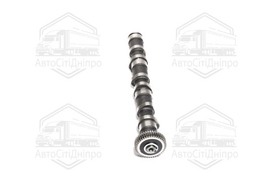 Розподільний вал VAG 2,5TDI BAU/BCZ/BDG/BND/BDH 1-3 EX (вир-во KS)