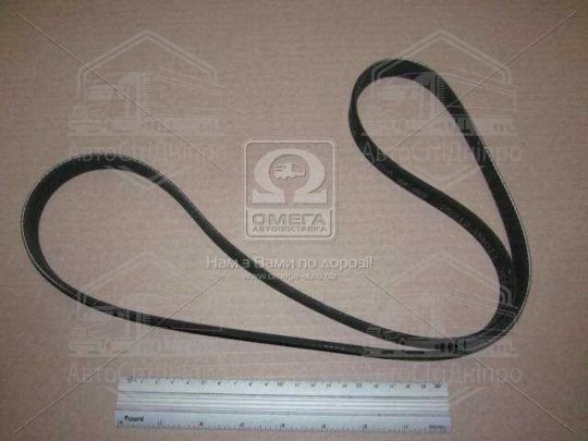 Ремінь поліклінової HYUNDAI/KIA I10 (11-), MORNING/PICANTO (11-) (вир-во Mobis)