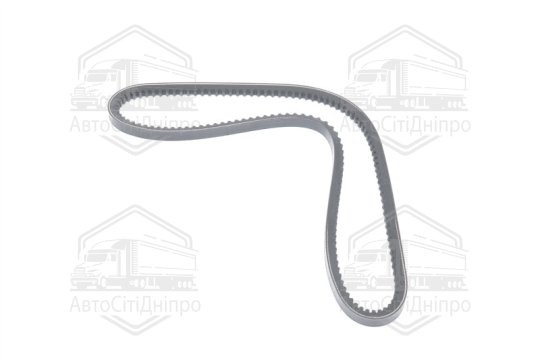 Клиновий ремень 13A1015 CASE IH 5000 MAXXUM; FORD TRANSIT 1.6-5.9D 11.77-12.97 (RIDER)