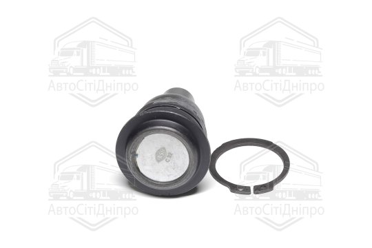 Опора кульова NISSAN QASHQAI, X-TRAIL, RENAULT KOLEOS 03-перед. міст низ (Вир-во SASIC)