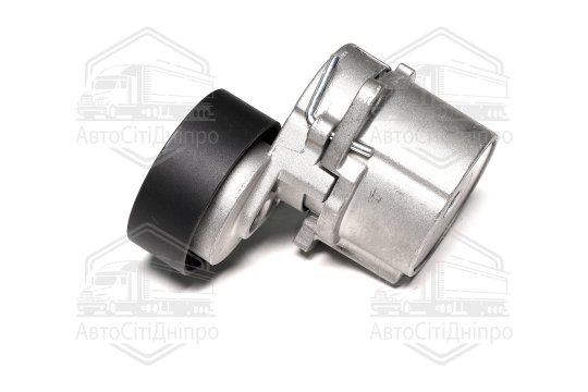 Ролик натяжний ременя поліклінового (Вир-во SKF)