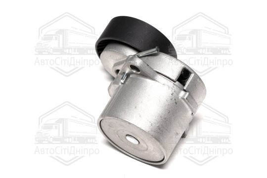 Ролик натяжний ременя поліклінового (Вир-во SKF)