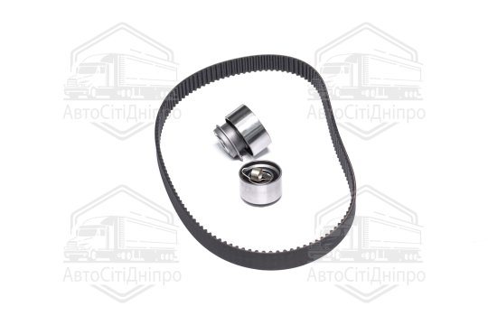 Комплект ременя ГРМ (Вир-во SKF)