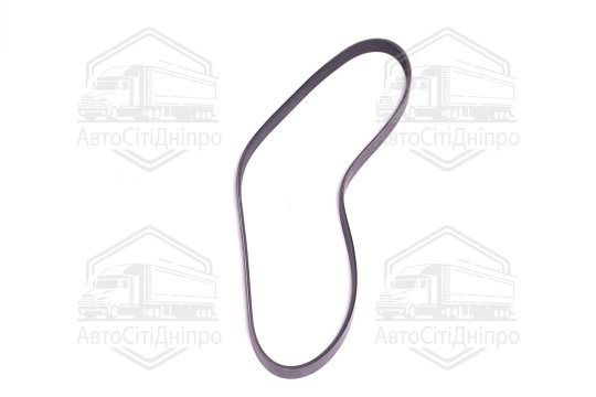 Поліклиновий ремінь (Вир-во SKF)