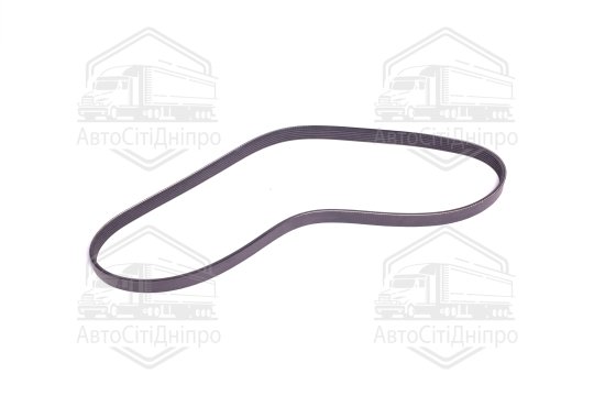 Поліклиновий ремінь (Вир-во SKF)