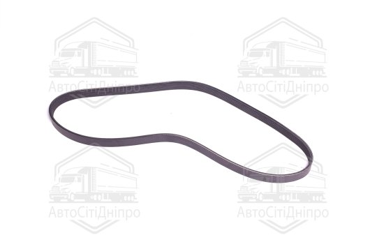 Поліклиновий ремінь (Вир-во SKF)