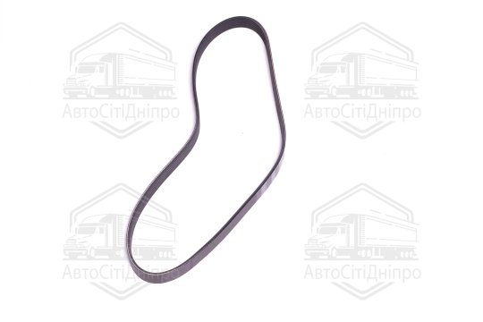 Поліклиновий ремінь (Вир-во SKF)