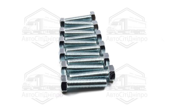 Болт М14х55х2,0 шестигранний (1кг = 1 компл) 5,8 DIN 933 / ГОСТ 7805 (повне різьблення) оцинк. білий