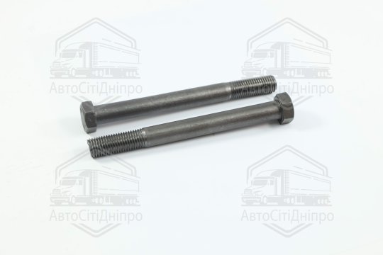 Болт М20х200х2,5 шестигранний (1 компл = 2шт) 5,8 DIN 931 (часткове різьблення) чорний