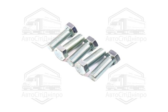 Болт М20х60х2,5 шестигранний (1кг = 1 компл) 5,8 DIN 933 / ГОСТ 7805 (повне різьблення) оцинк. білий