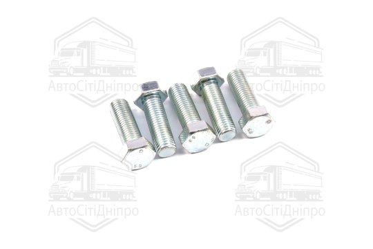 Болт М20х60х2,5 шестигранний (1кг = 1 компл) 5,8 DIN 933 / ГОСТ 7805 (повне різьблення) оцинк. білий