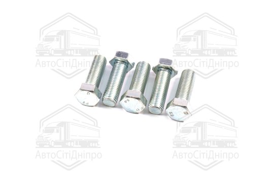 Болт М20х60х2,5 шестигранний (1кг = 1 компл) 5,8 DIN 933 / ГОСТ 7805 (повне різьблення) оцинк. білий