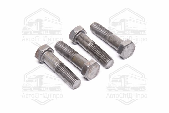 Болт М20х80х2,5 шестигранний (1кг = 1 компл) 5,8 DIN 933 / ГОСТ 7805 (повне різьблення) оцинк. білий