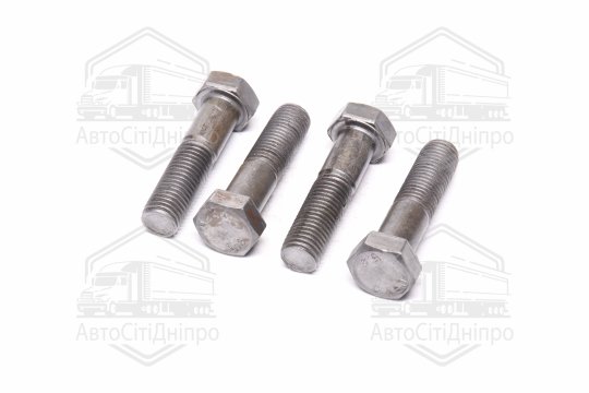 Болт М20х80х2,5 шестигранний (1кг = 1 компл) 5,8 DIN 933 / ГОСТ 7805 (повне різьблення) оцинк. білий